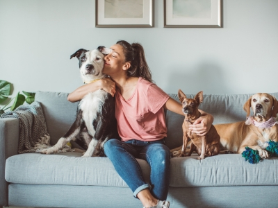 Tierpension mit Hund im Auslauf